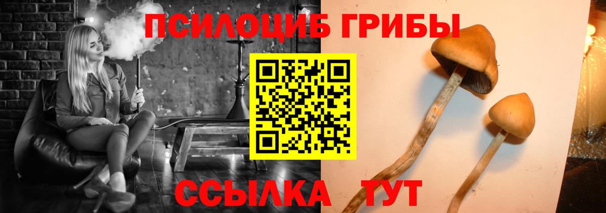 Галлюциногенные грибы мицелий Новоуральск